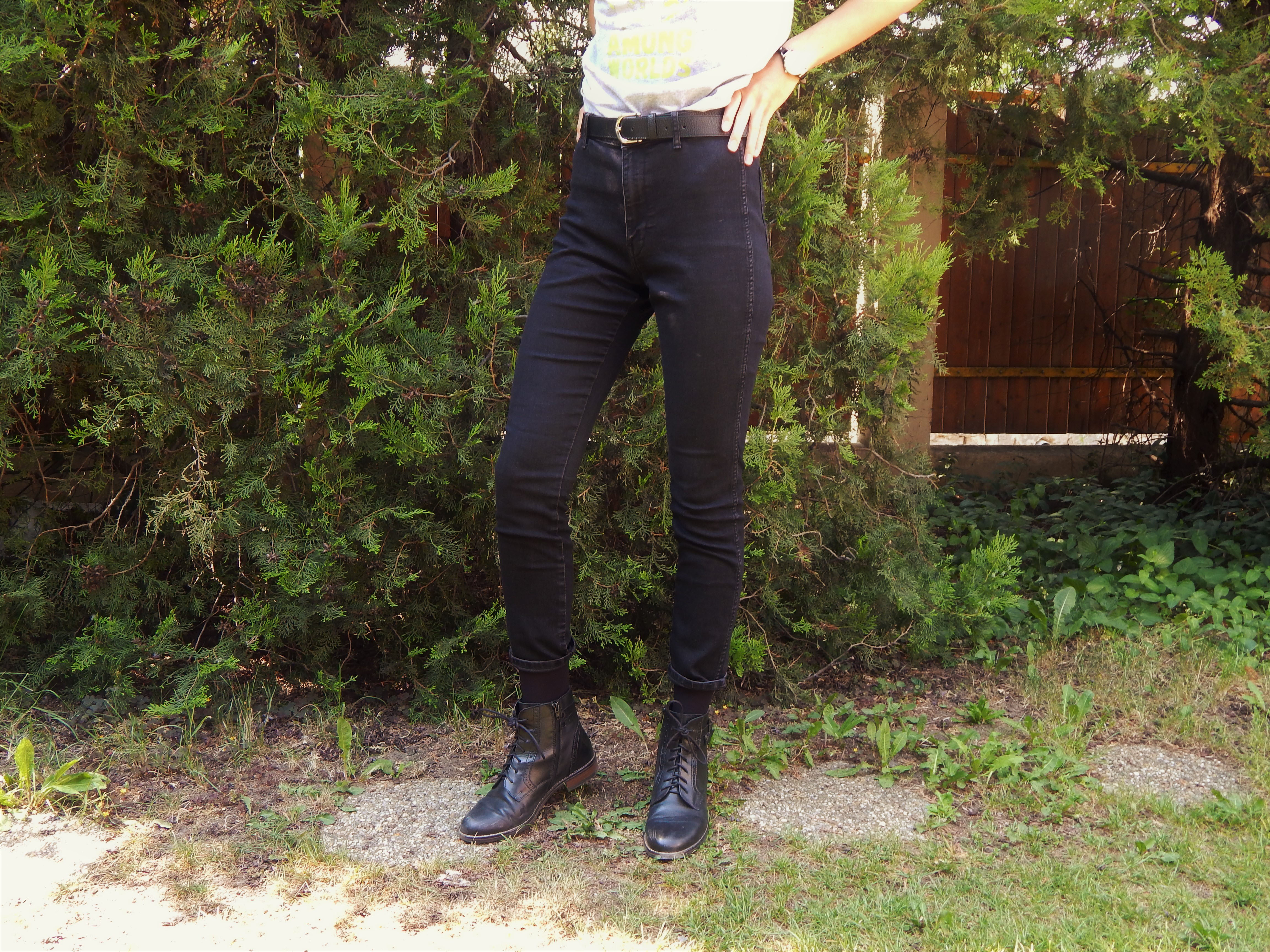 dscn4241a.jpg