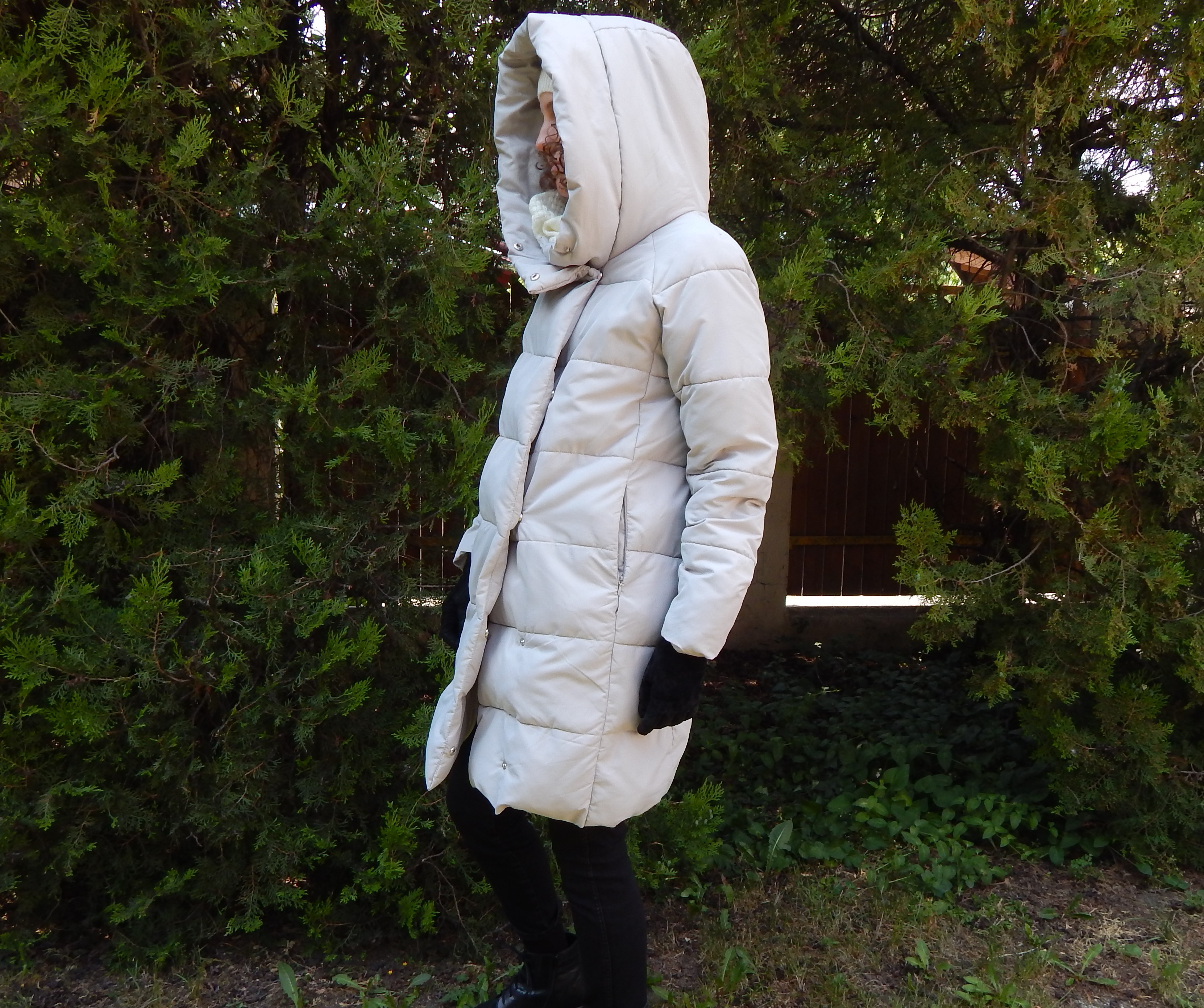 dscn4244.JPG