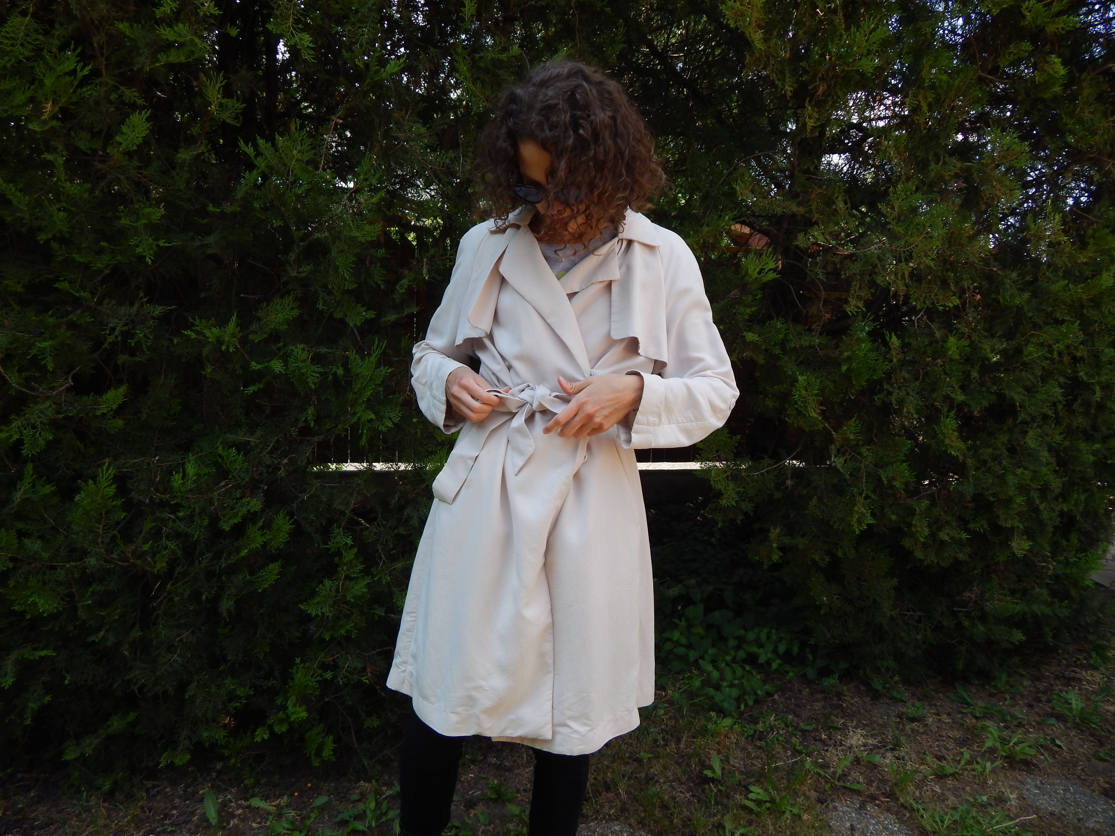 dscn4246a.jpg