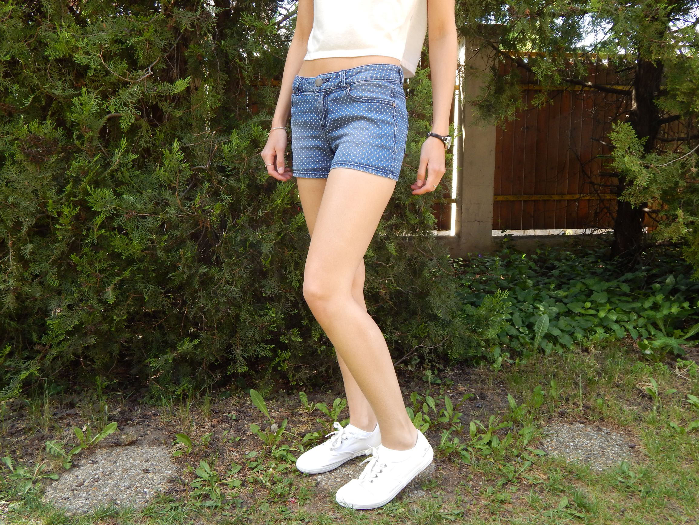 dscn4220-k2.JPG