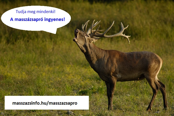 masszázsapró, masszázshirdetés