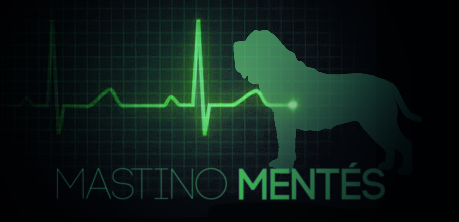 mastino_mentes1.jpg