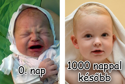 1000nap.jpg