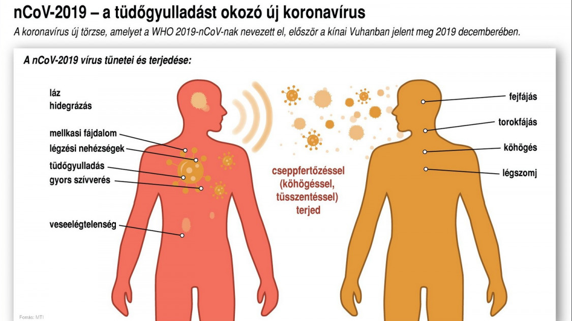 koronavirus-347027.jpg