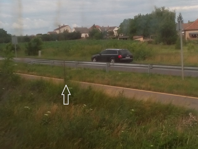 A kerékpárutak szélére fákat ültettek, a fák növekedését számításba vették?