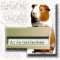Egy kis tengerimalac-történelem