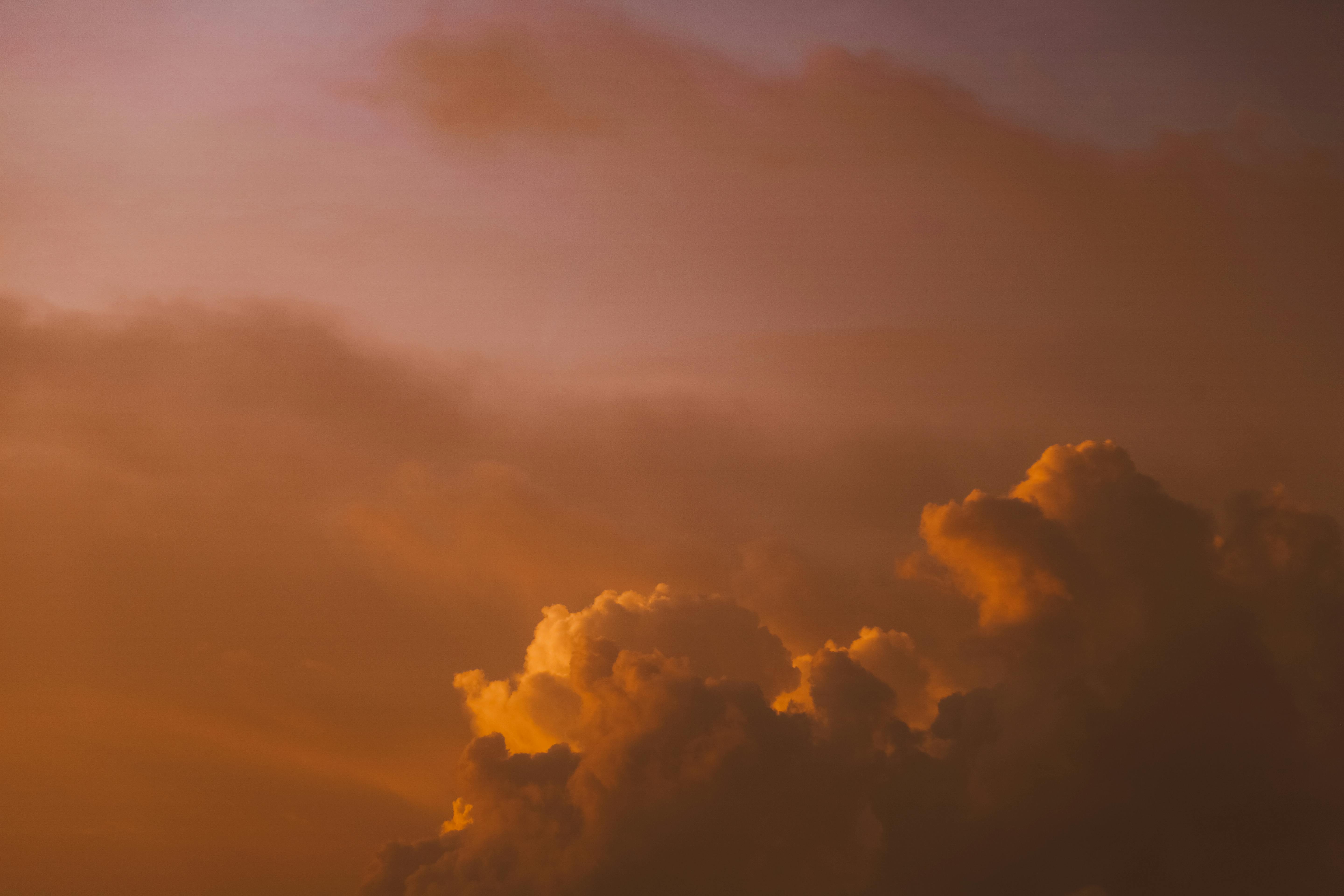 pexels-roman-odintsov-4870972.jpg