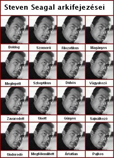 steven-seagal-arckif.jpg