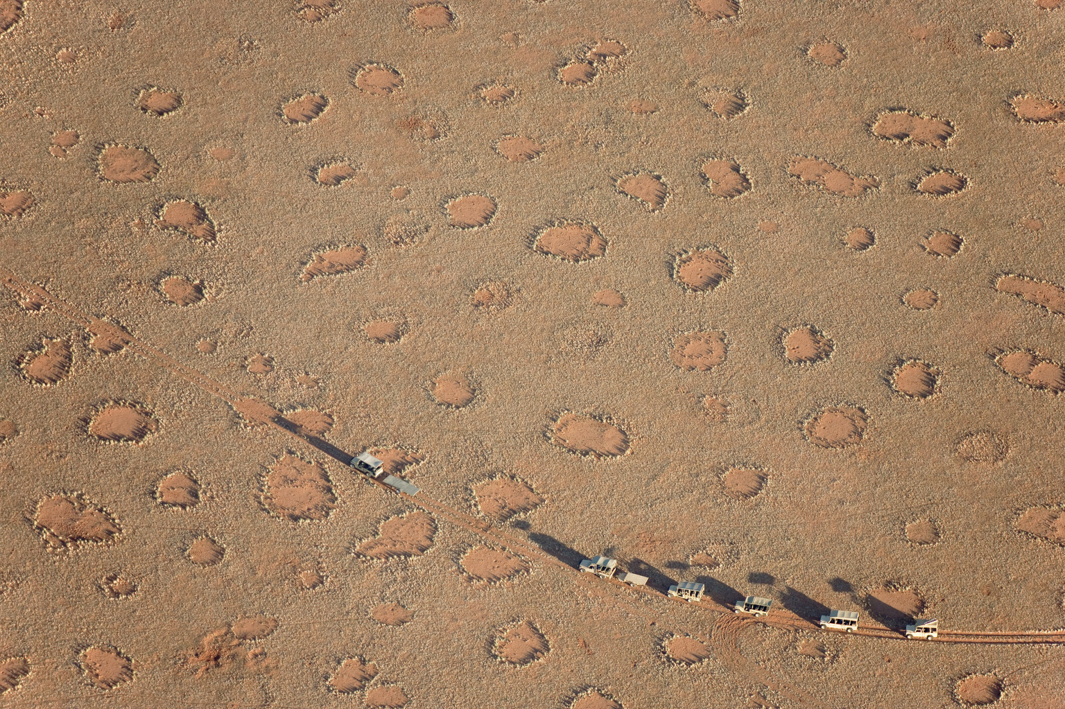 o-FAIRY-CIRCLES-facebook.jpg