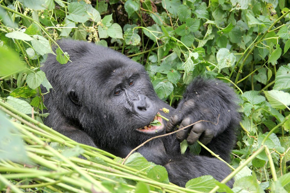 uganda_201301img_2399k.jpg