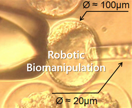 robotic_biomanipulation.png