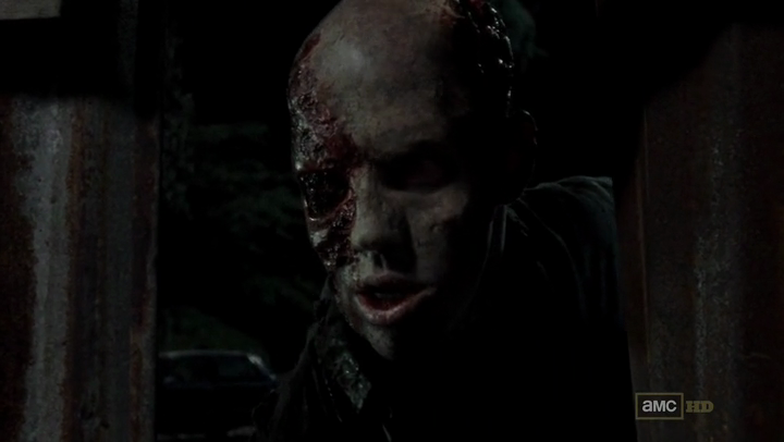 The Walking dead 3x9.png