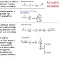 Kölcsönhatások, melyek a röntgenfoton és az anyag között felléphetnek I.