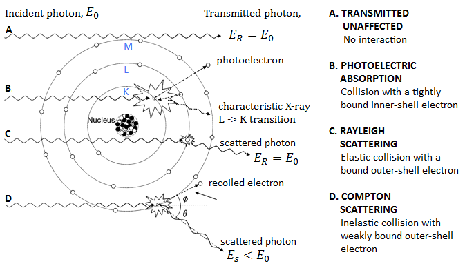 1-types-of-interaction-between-an-x-ray-photon-and-the-atom-of-irradiated-matter-for.png