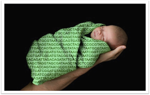 babyseq.png