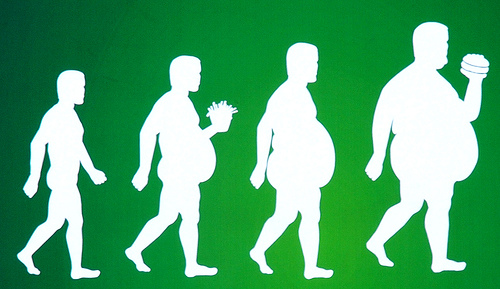 fat evolution.jpg