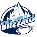 Felhívás: megalakult a Budapest Blizzard, játékosokat várnak