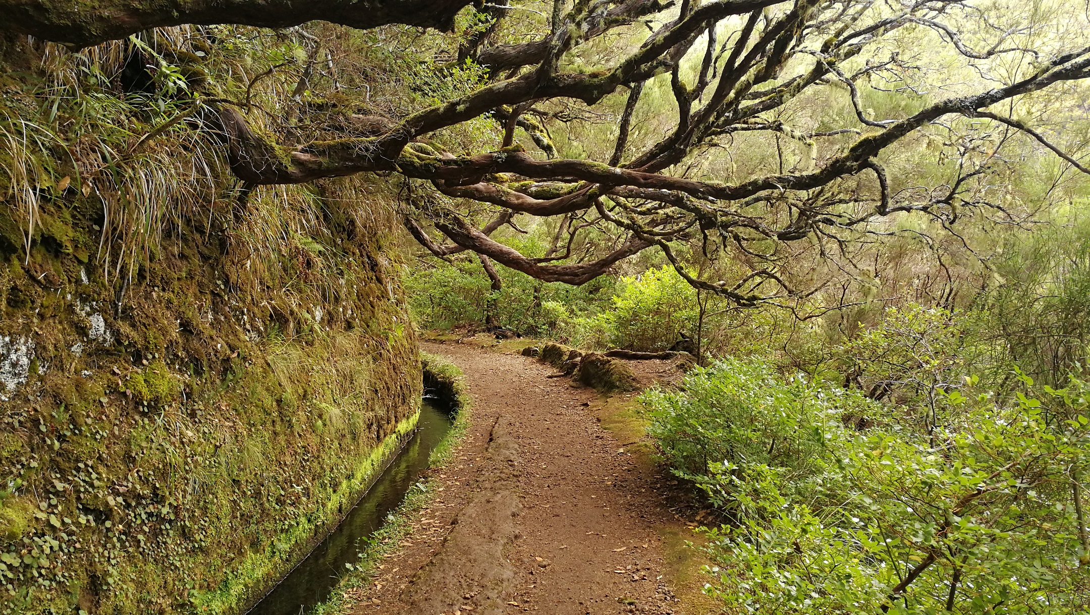 Levada das 25 Fontes