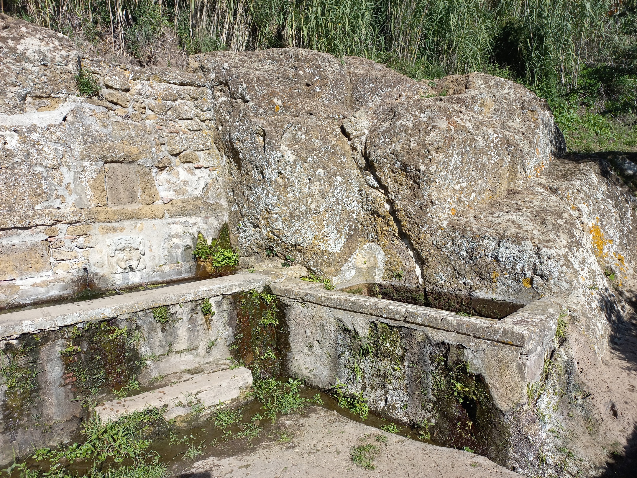 La Fontana dell‘Olmo