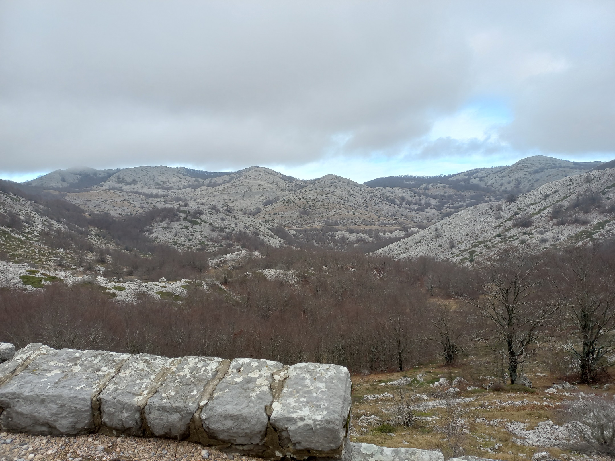 A mélyedésekben megjelenik a mezőgazdaság