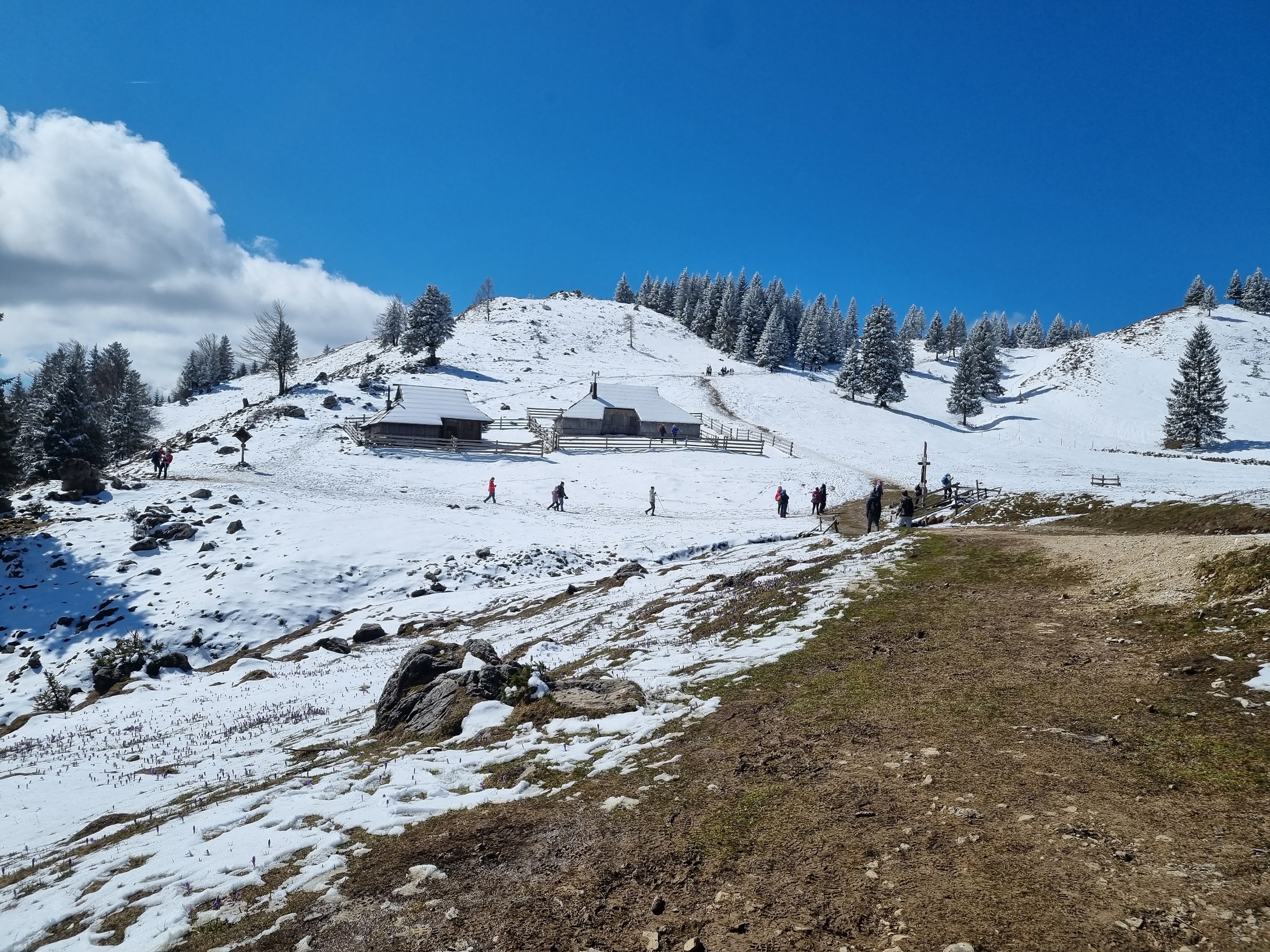 Gojška planina