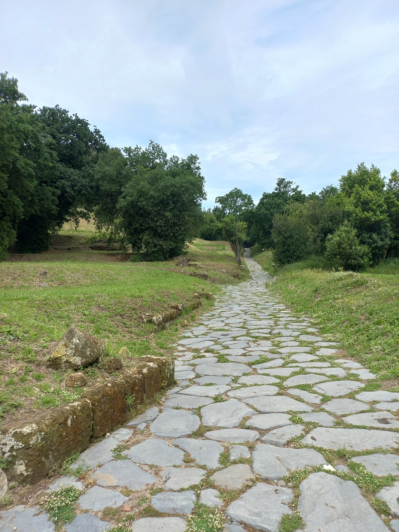 Bokatörő ókori utak