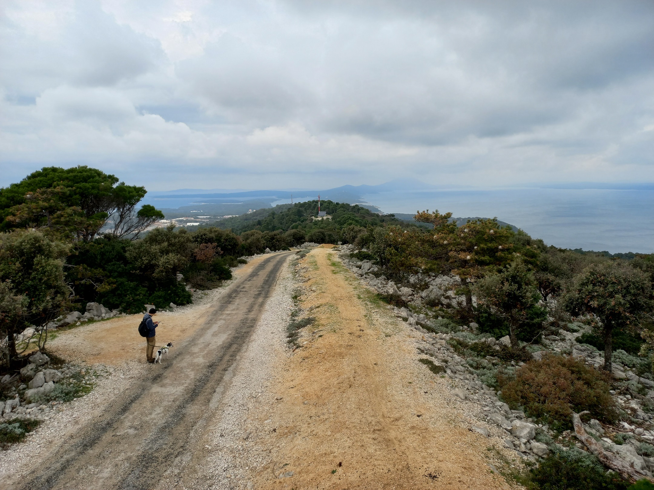 Kilátó és downhill indulóhely egyben