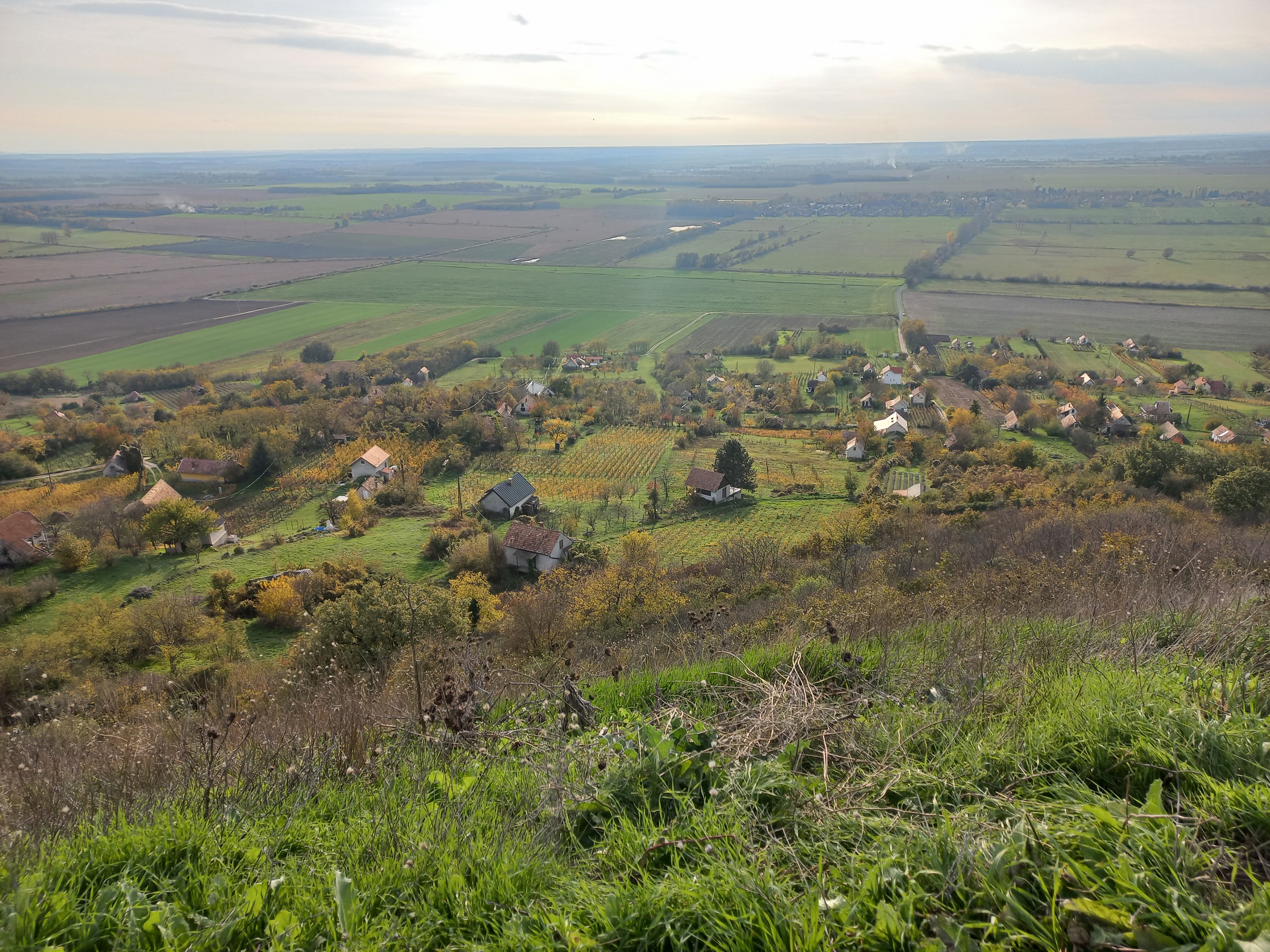 Nyugat felé szőlők sorjáznak