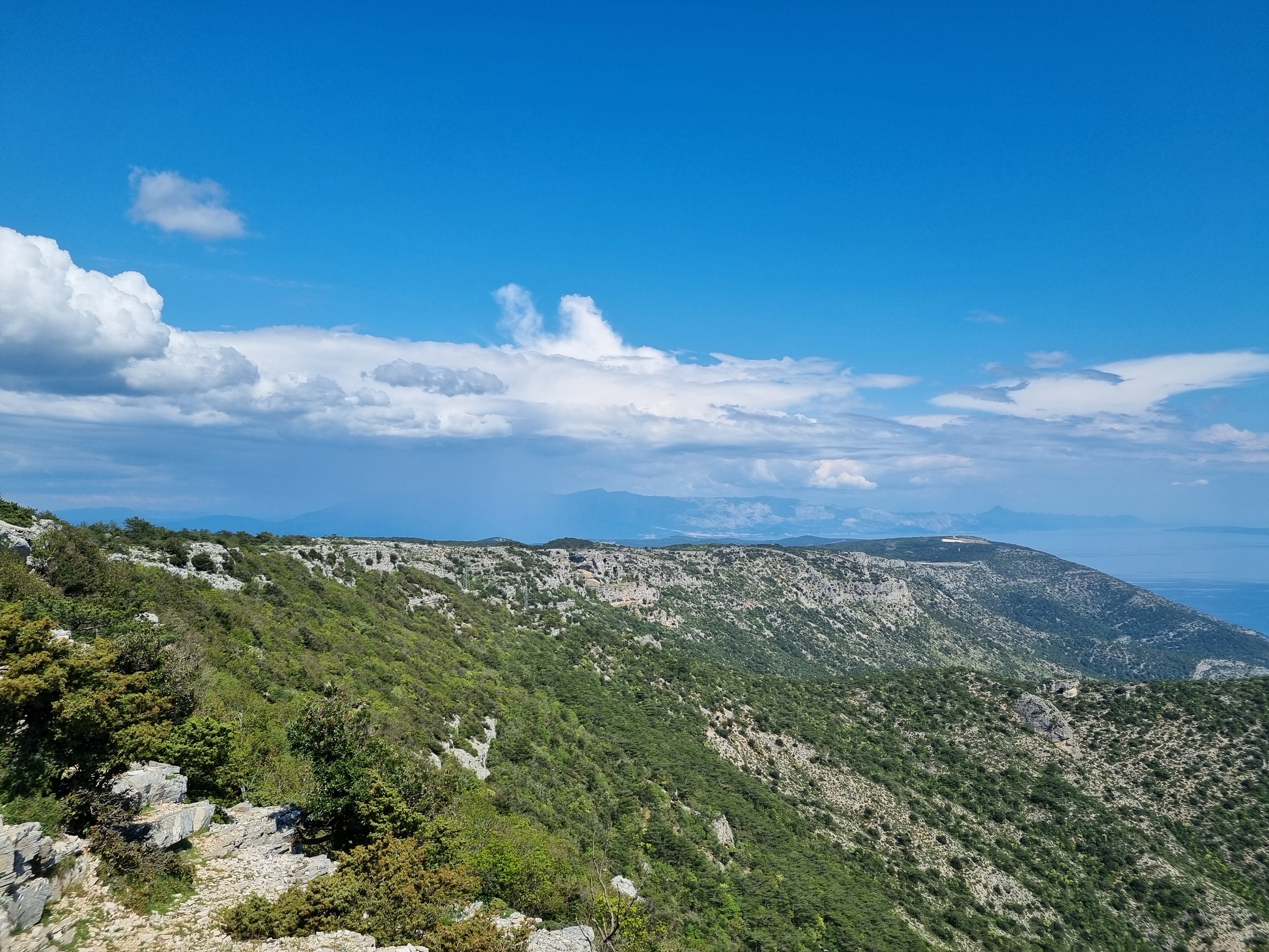 Vidova gora