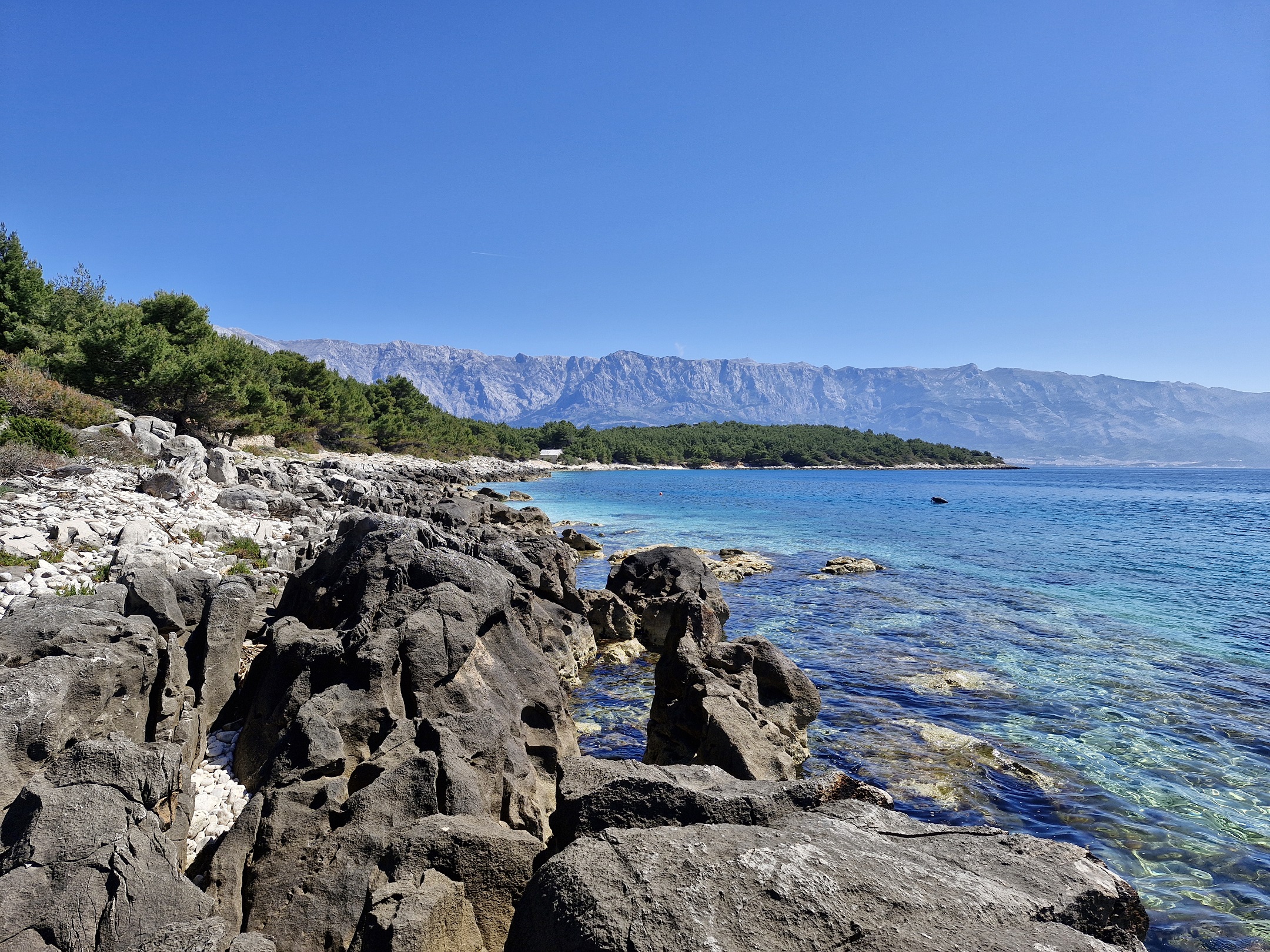 Plaža Puntica