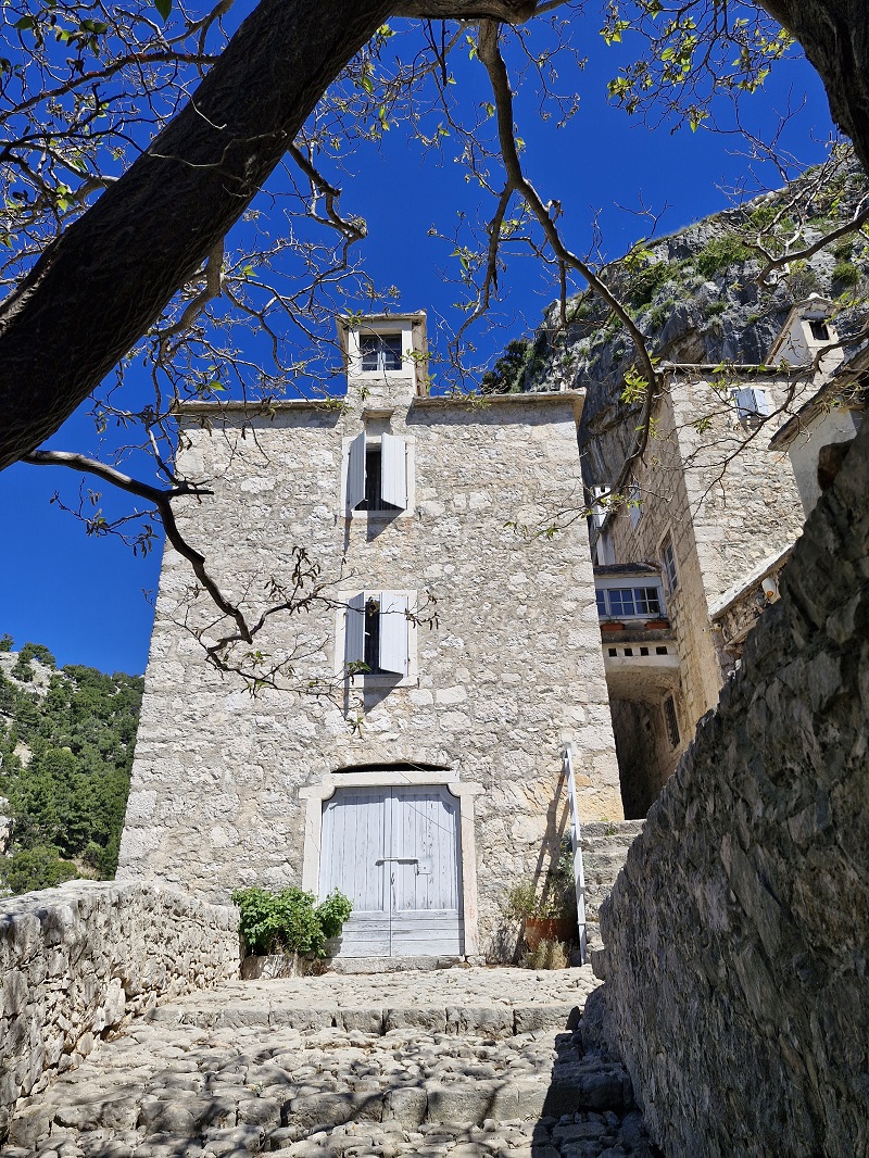Pustinja blaca