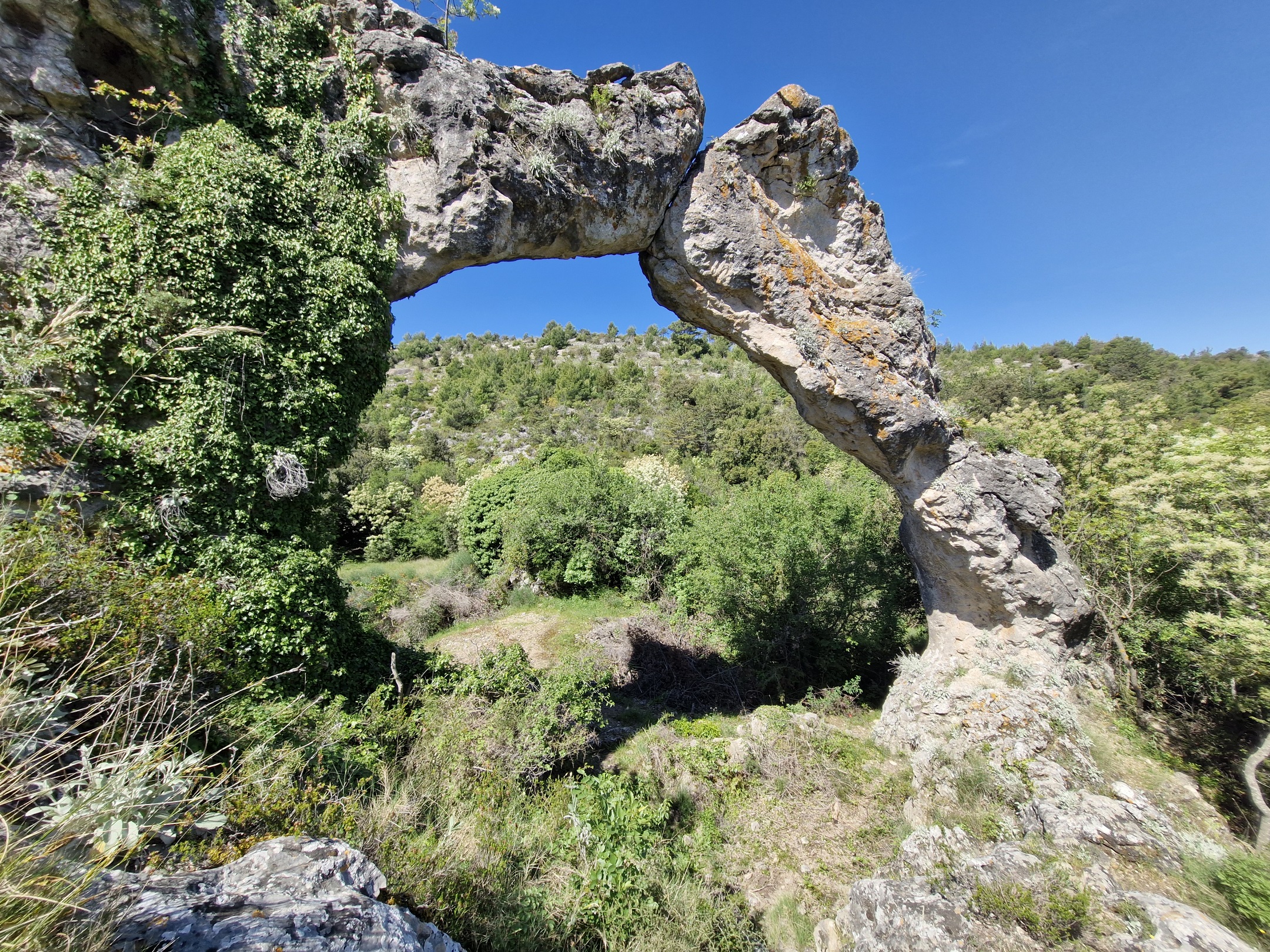 Pusziszkodó dinók