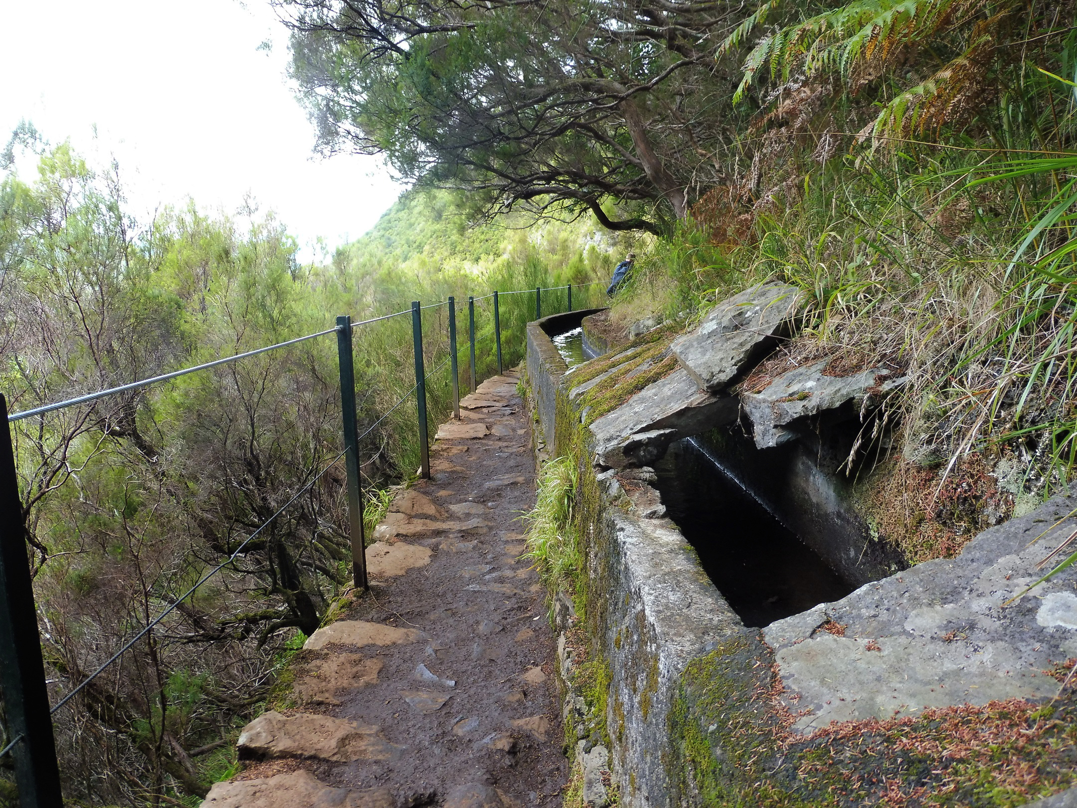 Levada das 25 Fontes