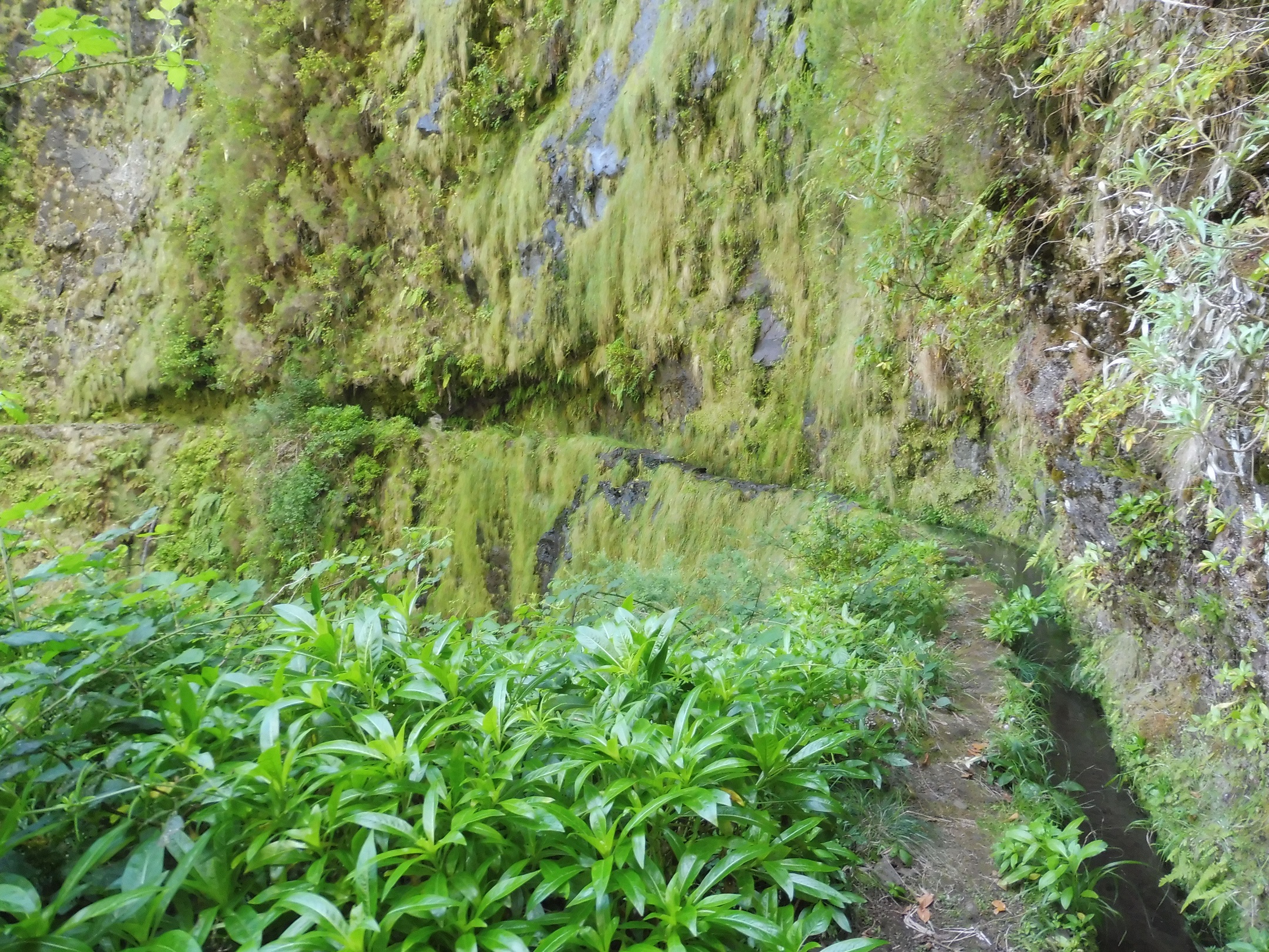 Levada do Inferno