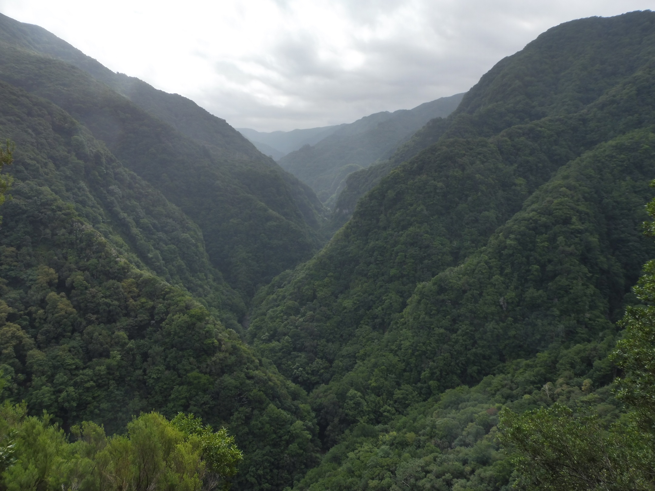 Ribeira da Janela völgy