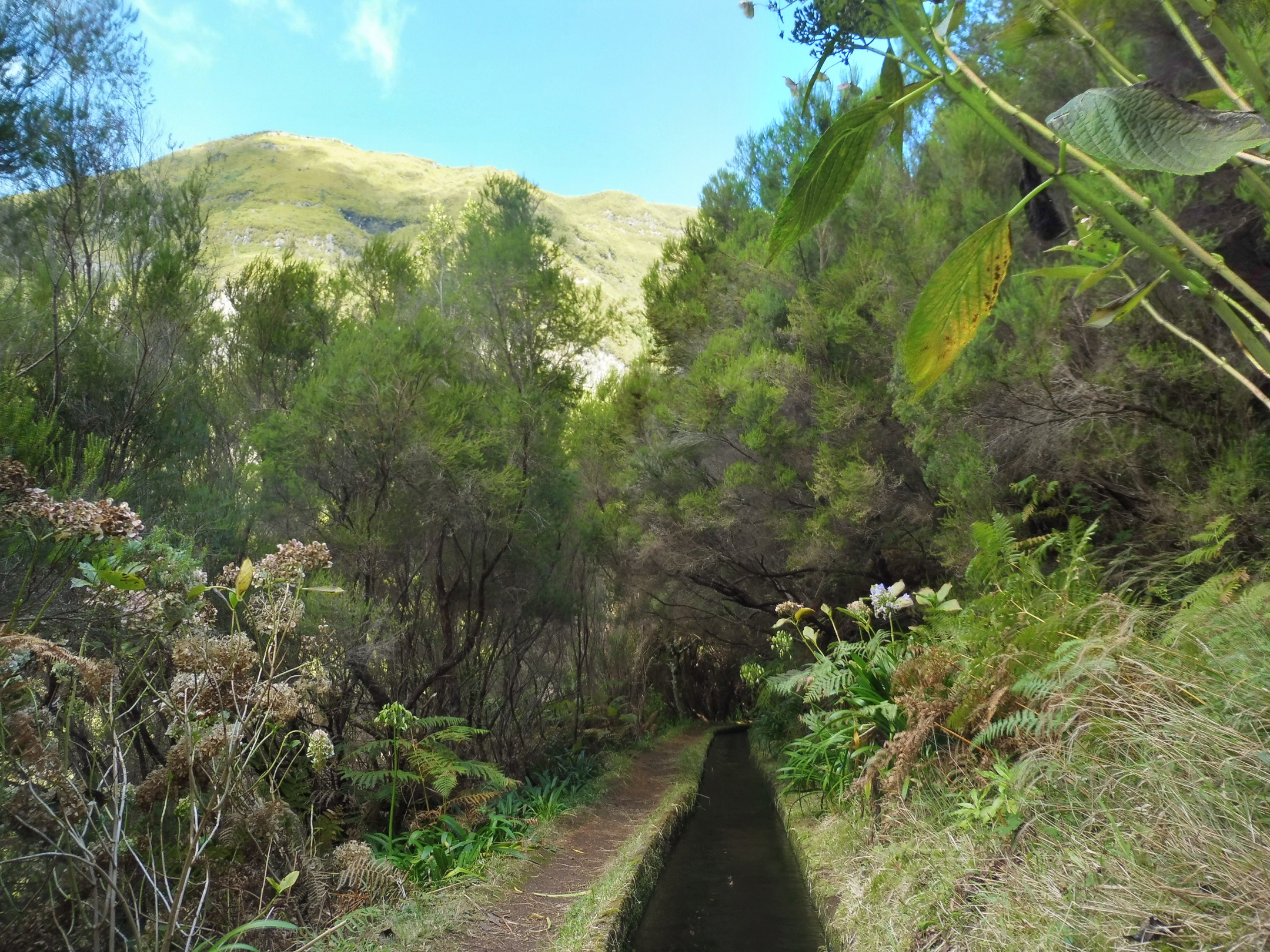 Levada das 25 Fontes