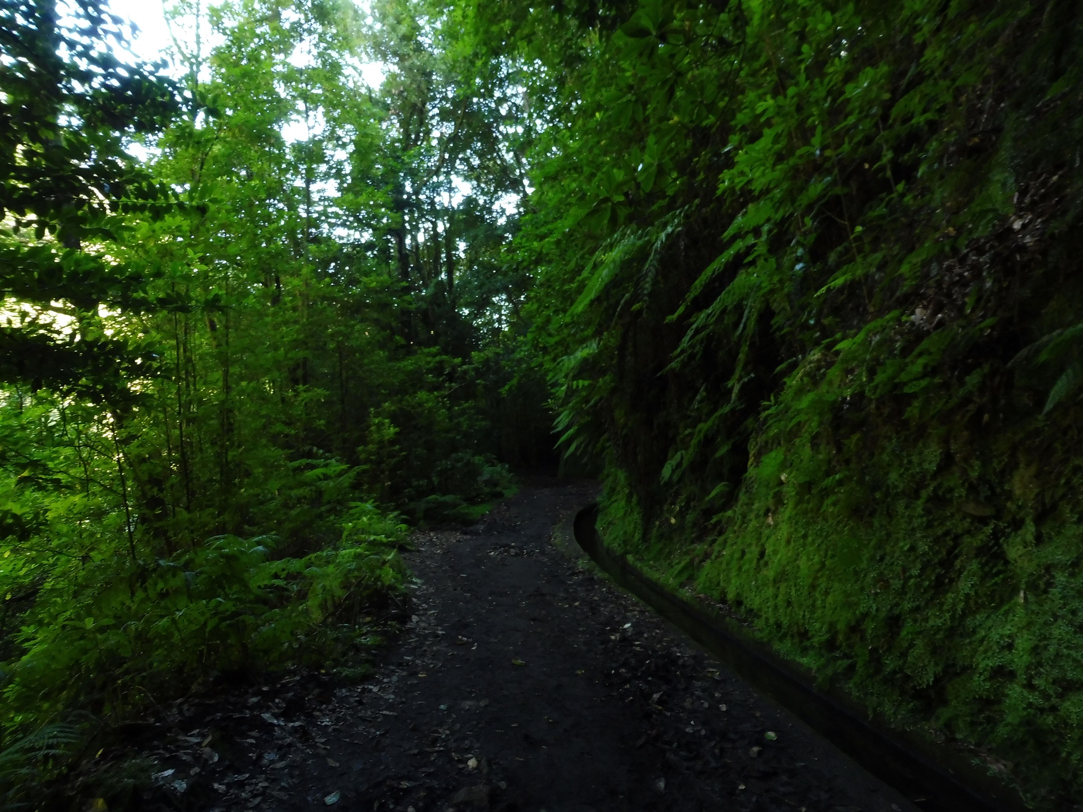 Levada do Rei