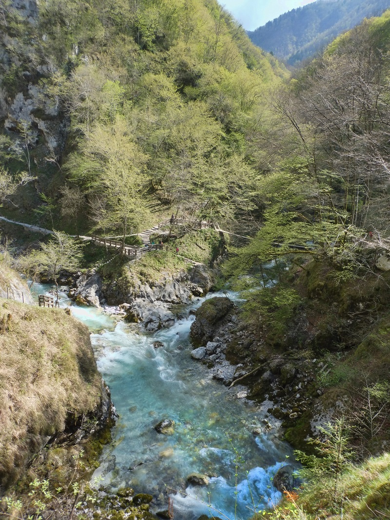 A Tolminka és a Zadlaščica találkozása