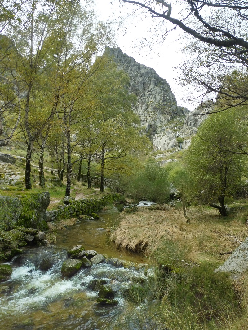 A Zêzere folyó forrása