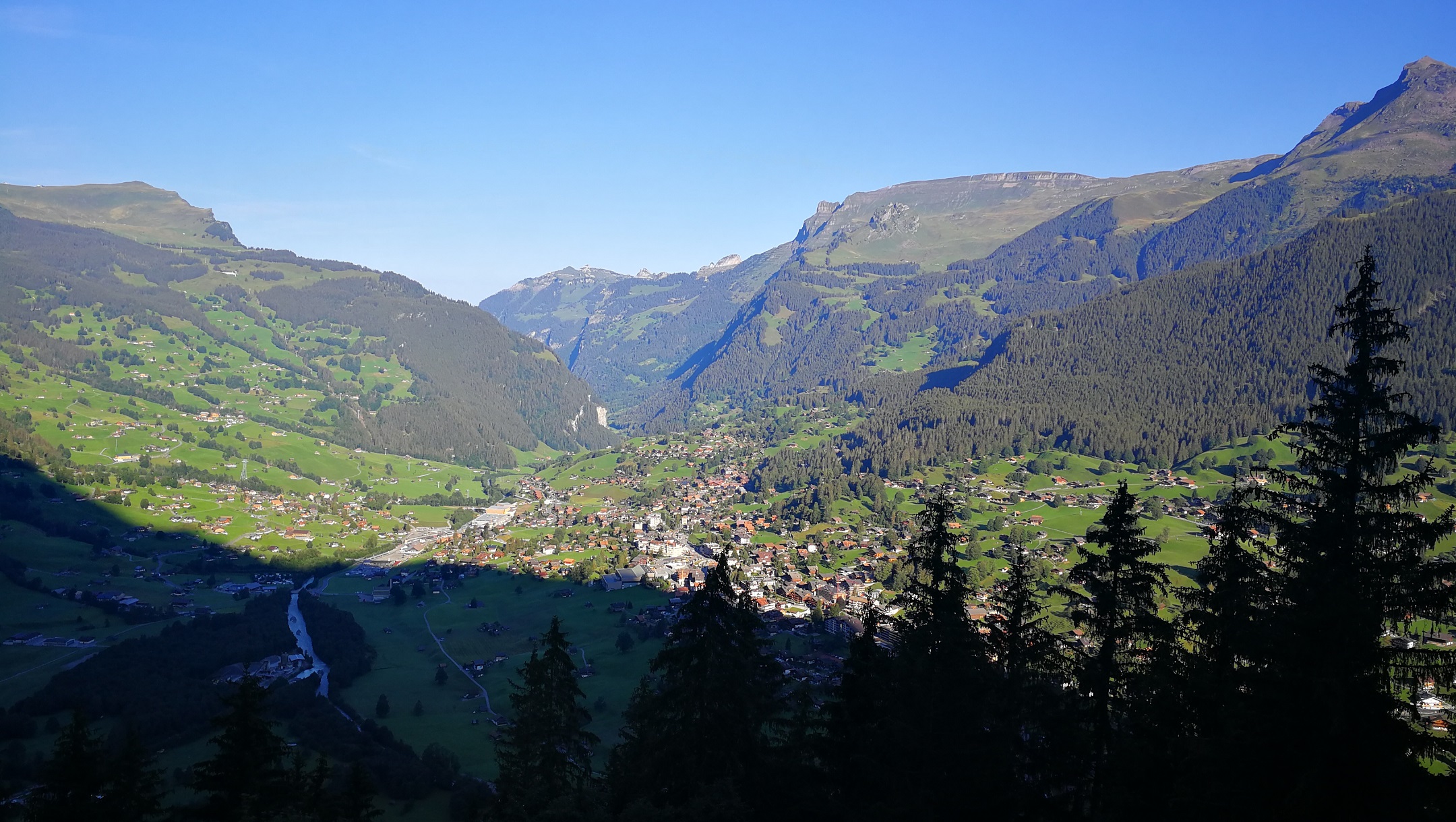 Kilátás Grindelwaldra