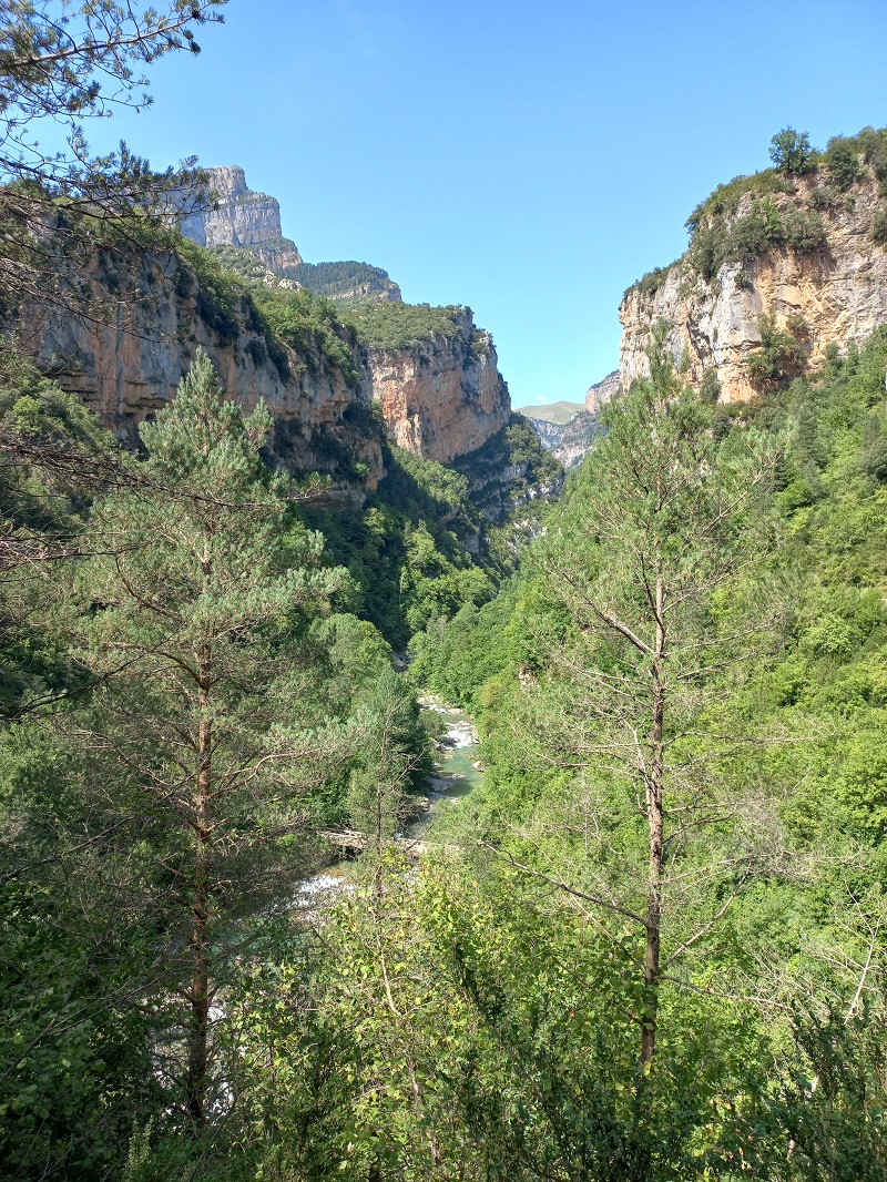 Cañón de Añisclo