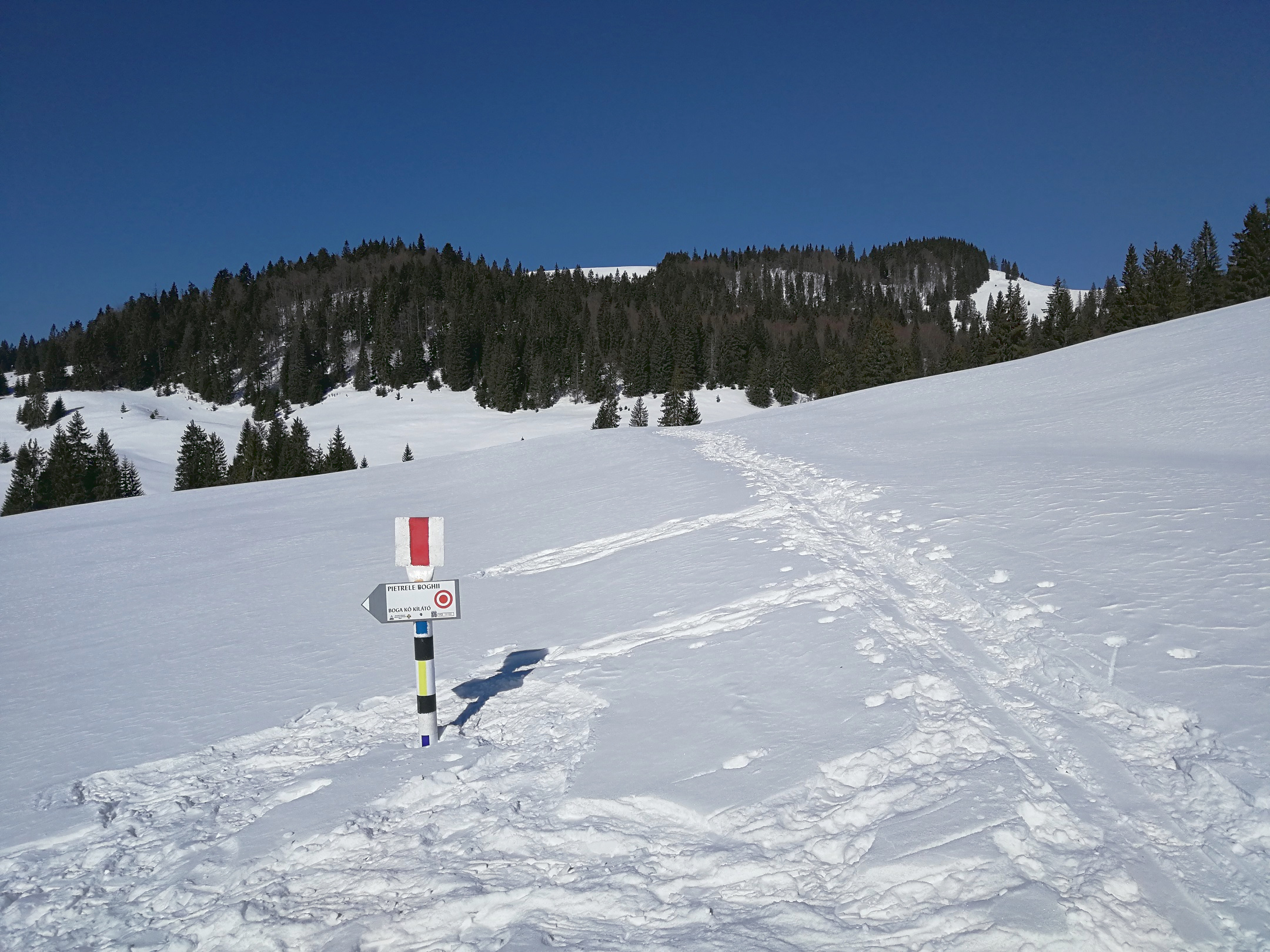 Az útjelzők könnyen felfedezhetők még méteres hóban is