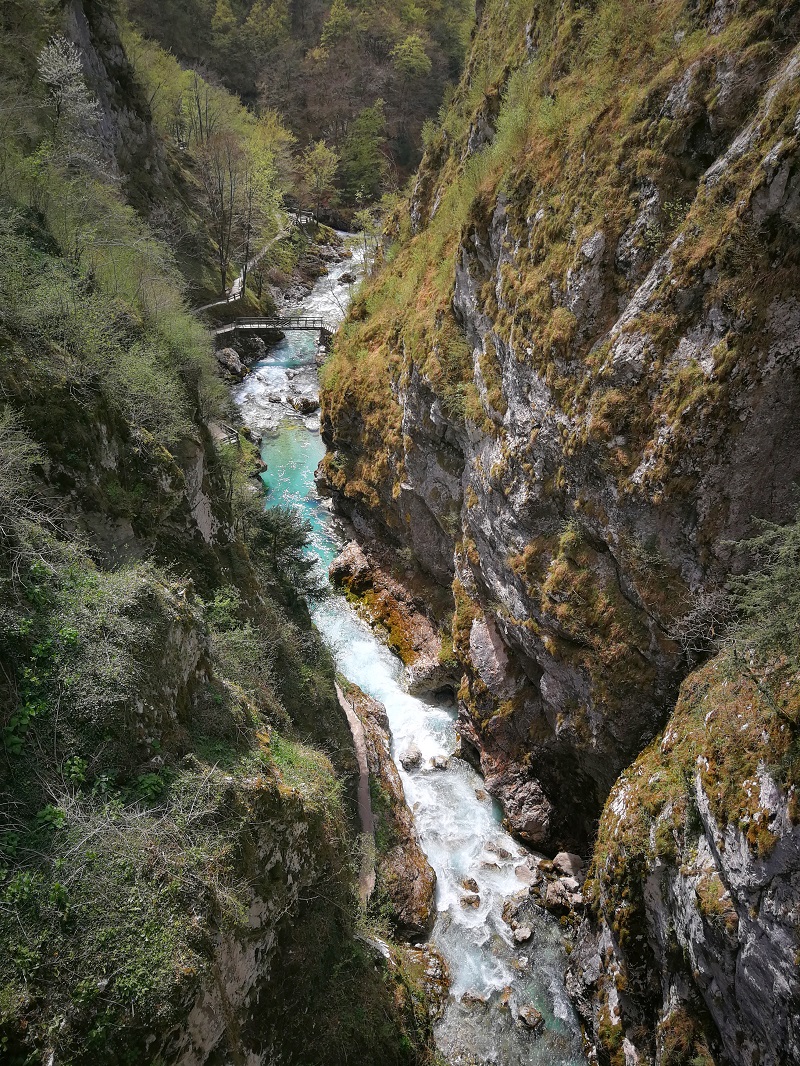 Tolmin-szurdok