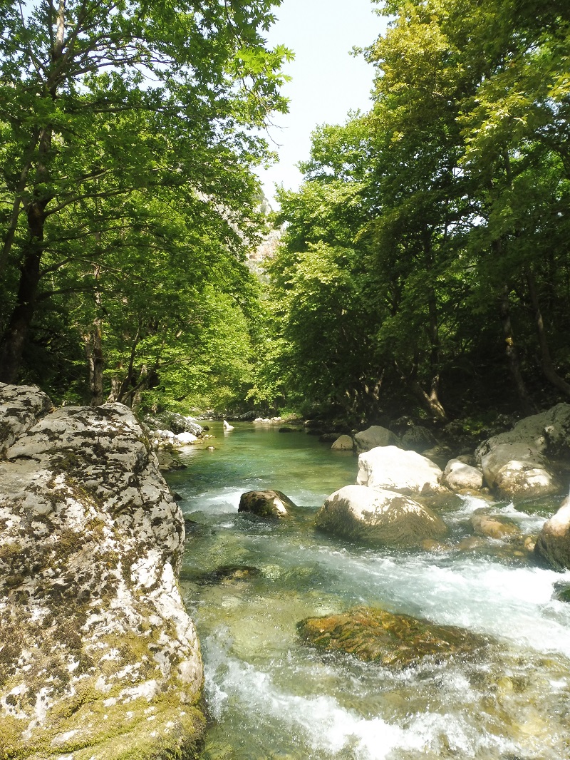 A Voidomatis a forrásától két-három méterre