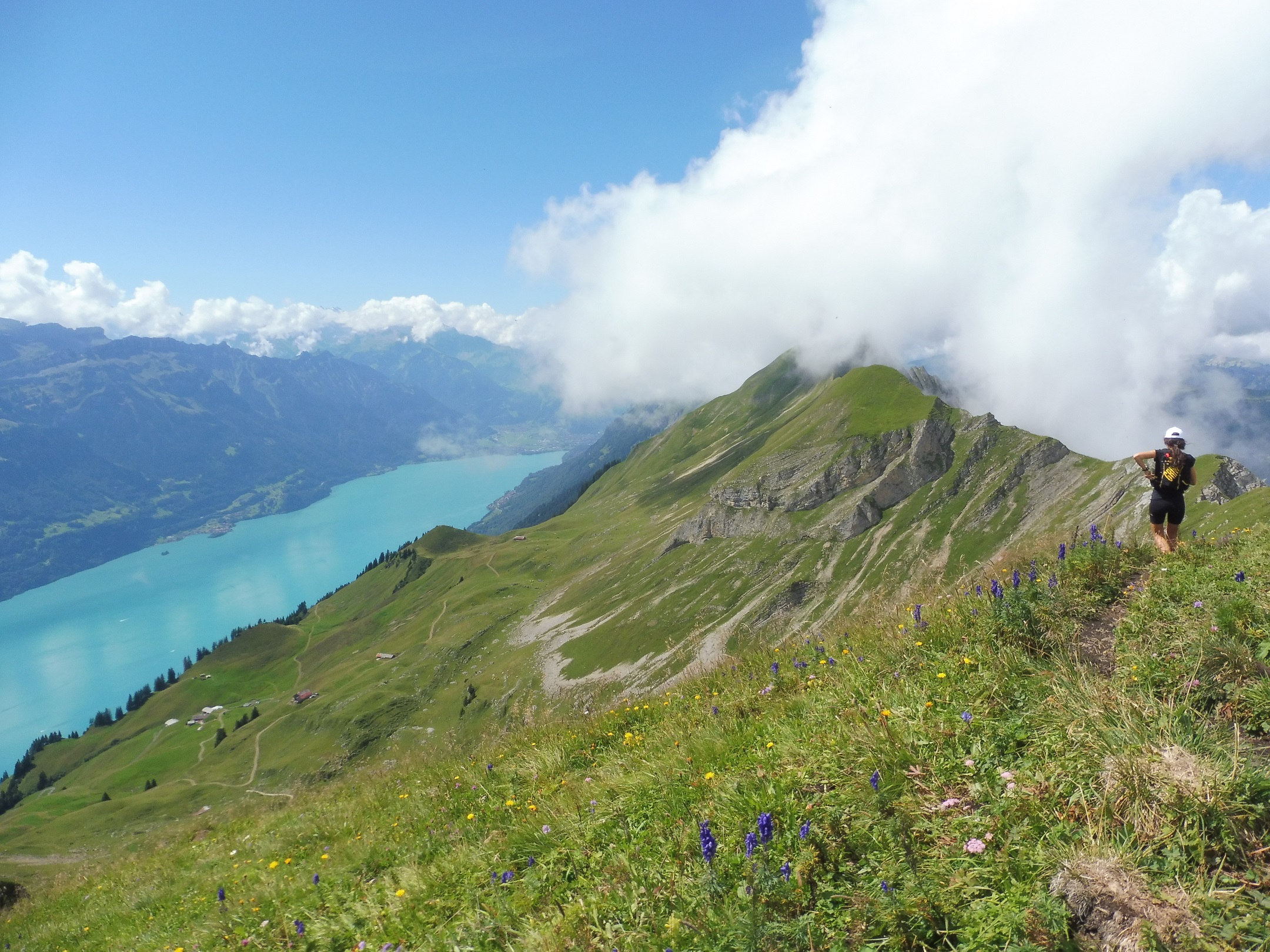 Hardergrat gerinc és a Brienzersee