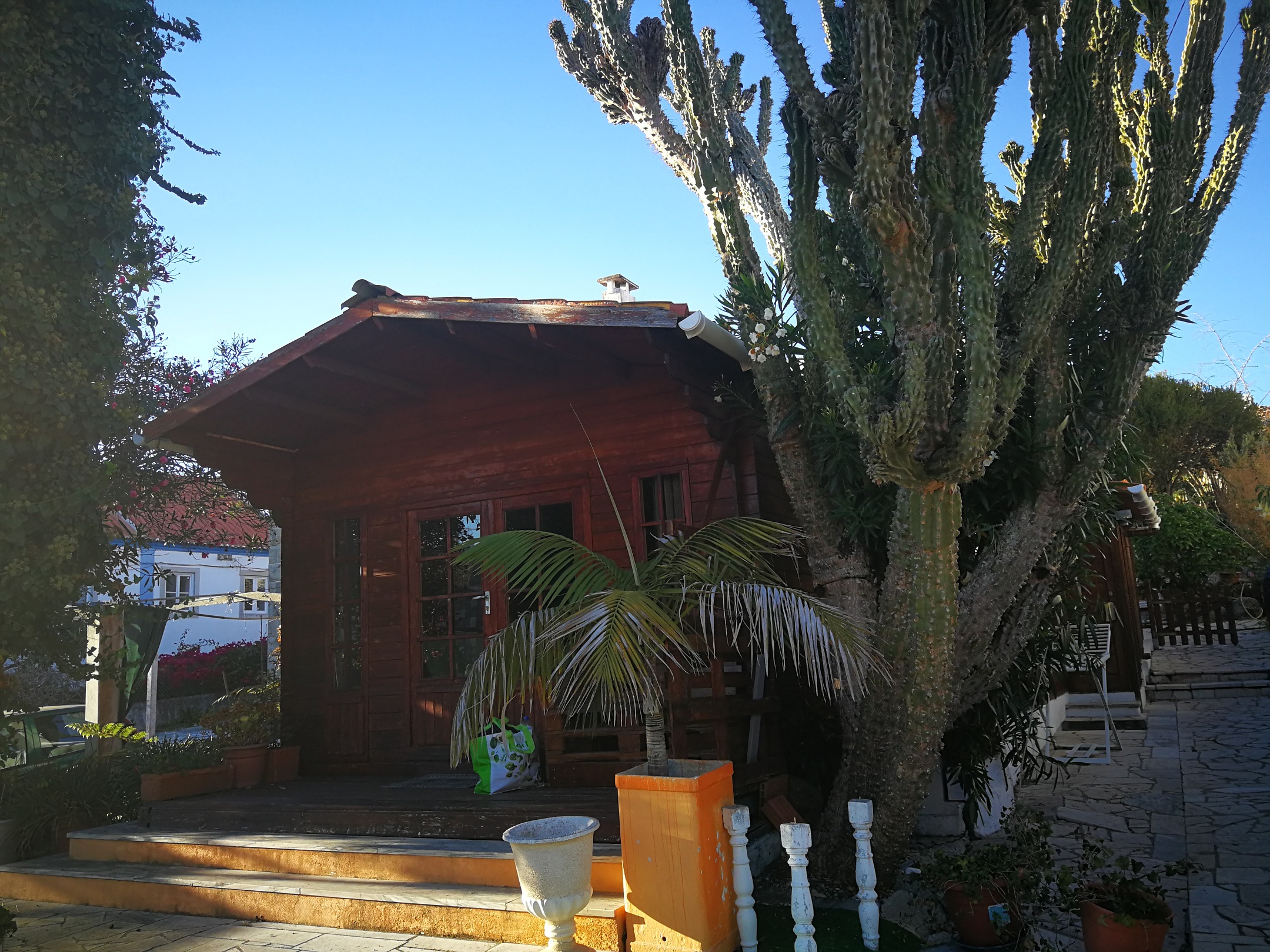 Nyári lak saját hat méteres kaktusszal Sintra szomszédságában