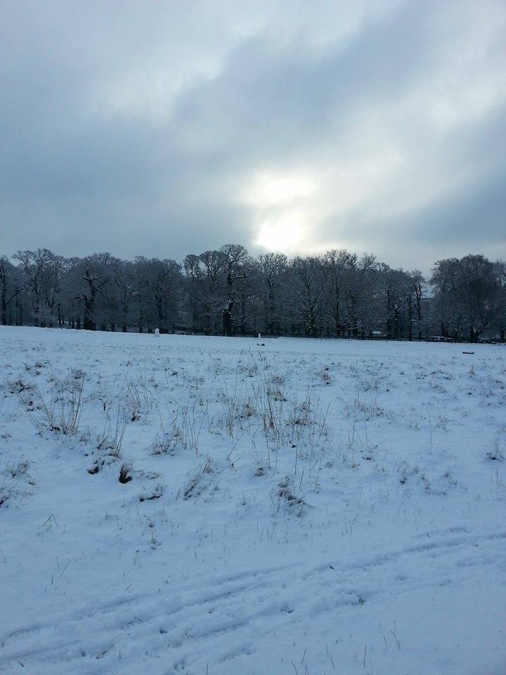 Richmond Park