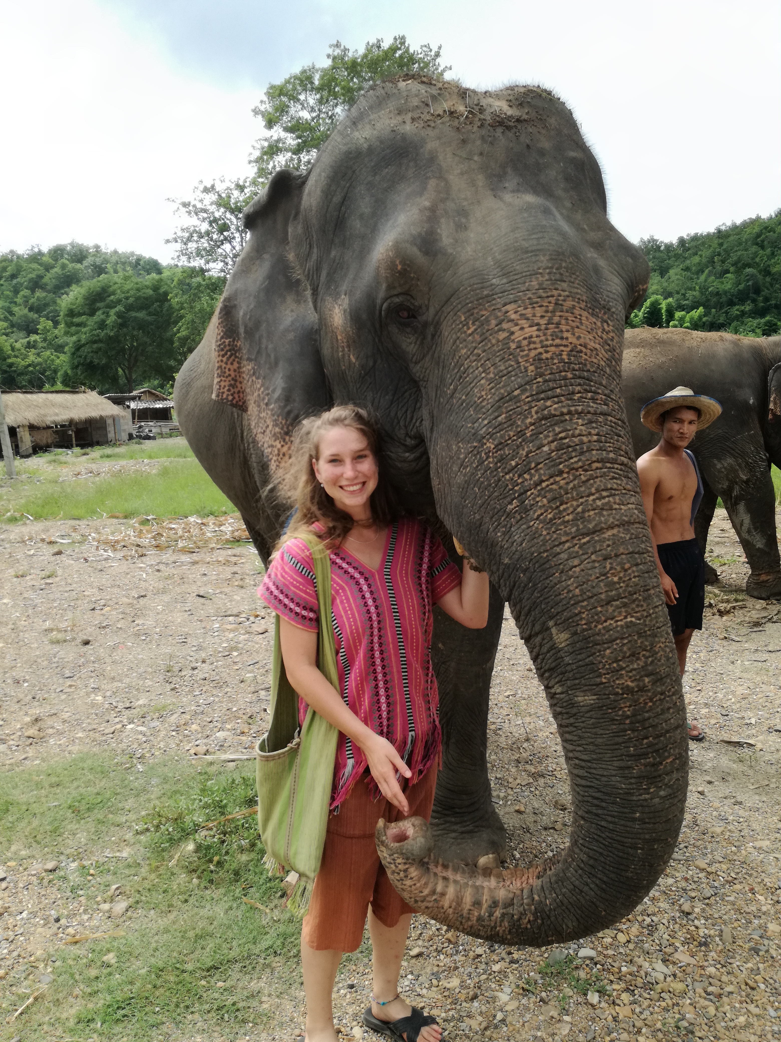 Chiang Maiban egy elefánt-szentélyben