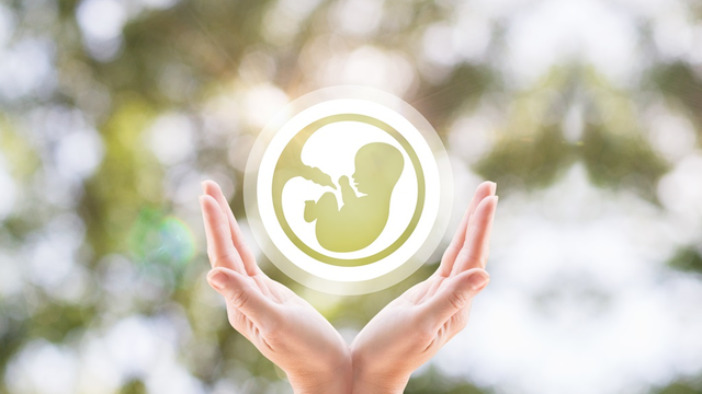 Egy új élet teremtése – 8+1 vitamin és ásványi anyag, ami hatással van a baba és a kismama egészségére