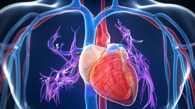 8 jel, amely arra utal, hogy a cukorbetegség a szívedet is támadhatja